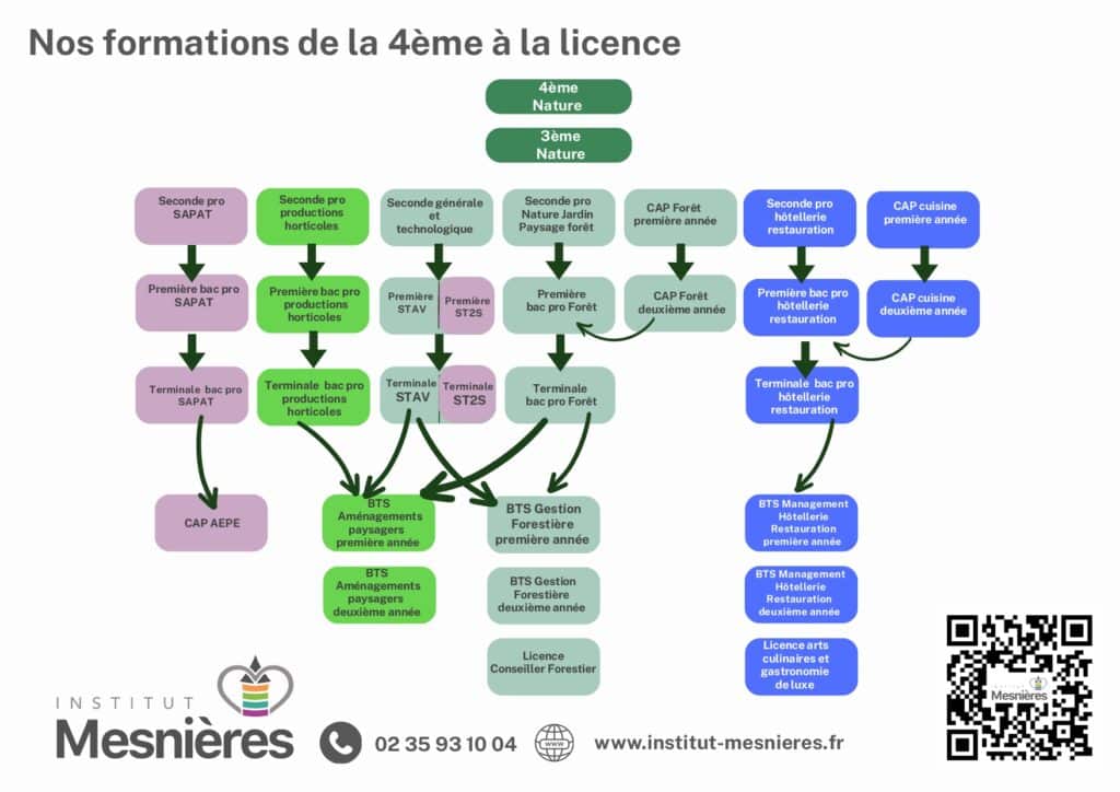Organigramme des formations à l'institut Mesnieres